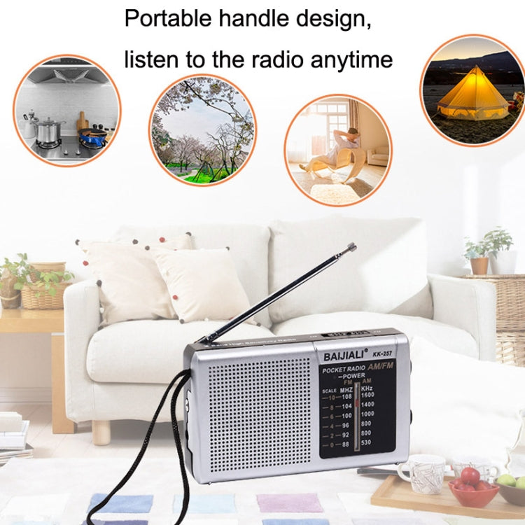 BAIJIALI BJL228 Retro Portable Two Band FM AM Radio Built-in Speaker, BJL228 Black